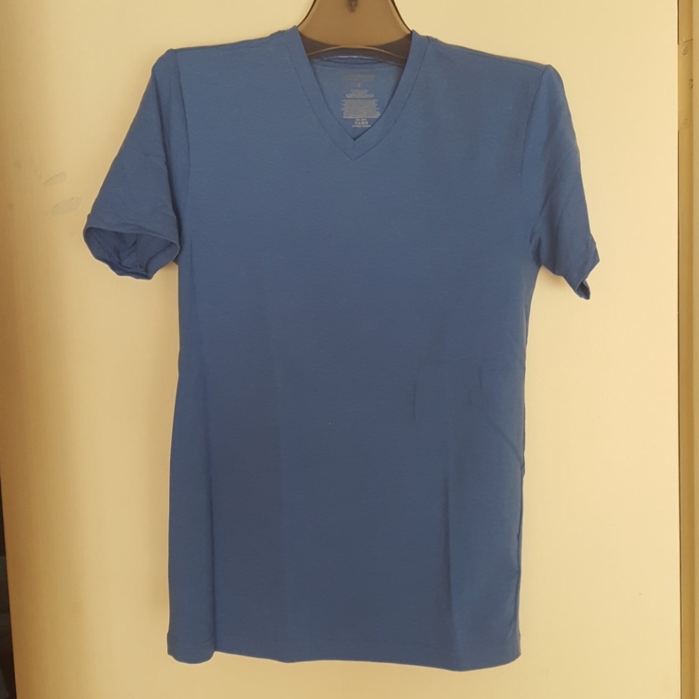 Express blue stretch v-neck